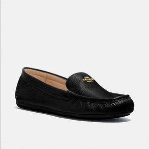 Coach Marley Driver Loafers